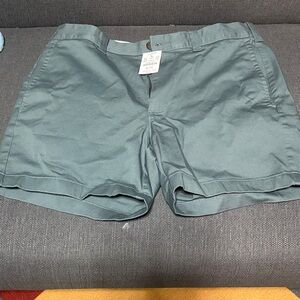 J. Crew Forest Green / gray Chino Shorts